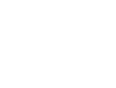 MINTS logotipas