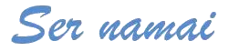 Ser namai logotipas