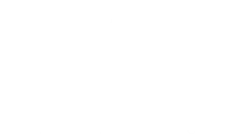 Robi Interiors logotipas